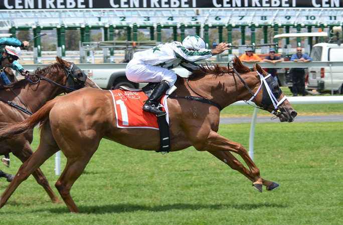 圧縮を有効にする-WordPressを高速化「PageSpeed Insights」