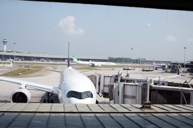 ゴールデンラウンジからの眺め