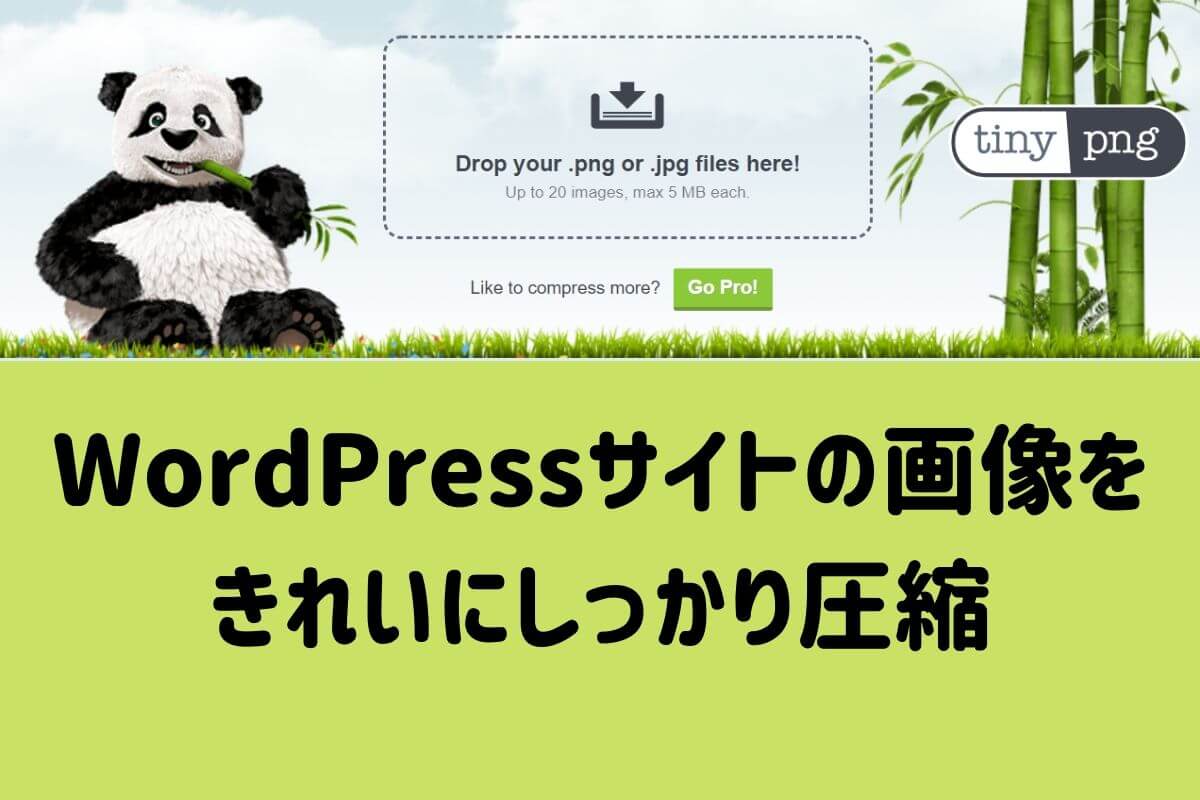 Wordpressサイトの画像圧縮プラグインは Compress Jpeg Png Images に決定 旅のレシピ